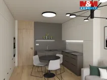 Prodej bytu 1+kk, Olomouc, Wolkerova, 33 m2