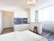 Pronájem bytu 1+kk, Praha - Střížkov, Děčínská, 22 m2