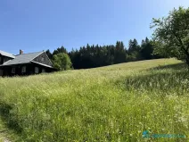 Prodej lesa, Krásná, 21810 m2