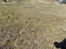 Prodej zahrady, Suchonice, 417 m2