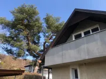 Prodej chaty, Hlubočky, 80 m2