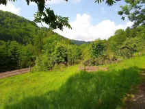 Prodej pozemku pro bydlení, Desná, Hutní, 2111 m2