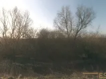 Prodej lesa, Stařechovice, 4595 m2