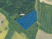 Dražba lesa, Přeborov, 16134 m2