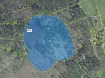 Dražba lesa, Nové Dvory, 32925 m2