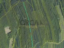 Prodej pole, Sehradice, 7003 m2