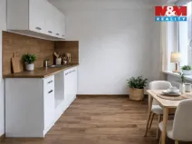 Pronájem bytu 1+1, Ostrava - Zábřeh, Čujkovova, 28 m2