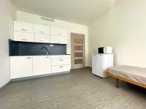 Prodej bytu 1+1, Český Krumlov - Nádražní Předměstí, Za Nádražím, 38 m2