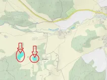 Prodej podílu lesa, Brloh, 5446 m2