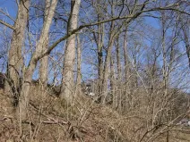 Prodej lesa, Raspenava, 656 m2