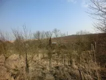 Prodej zahrady, Kunovice, 878 m2