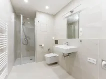 Pronájem bytu 1+kk, Praha - Nusle, Muzikova, 50 m2