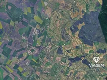 Prodej lesa, Bošovice, 3277 m2