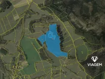 Prodej podílu lesa, Nechvalice, 33517 m2