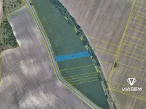 Prodej podílu pole, Valtice, 988 m2
