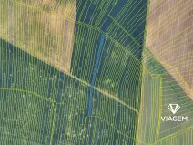 Prodej podílu pole, Podolí, 949 m2