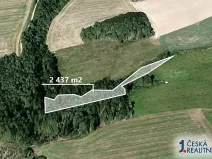 Prodej lesa, Šípy, 2437 m2