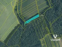 Prodej podílu lesa, Malhotice, 1965 m2