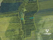 Prodej lesa, Hradčovice, 805 m2