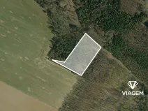 Prodej podílu lesa, Mělnické Vtelno, 980 m2