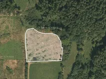 Prodej lesa, Mohelnice, 9122 m2