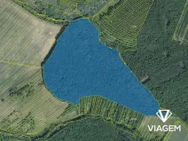 Prodej podílu lesa, Pašovice, 28955 m2