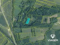 Prodej podílu lesa, Jablůnka, 921 m2