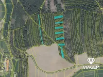 Prodej podílu lesa, Koloveč, 2599 m2