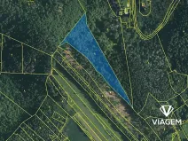 Prodej podílu lesa, Kuřimská Nová Ves, 8824 m2