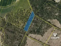 Prodej lesa, Borkovice, 8398 m2