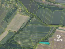 Prodej lesa, Starý Jičín, 4723 m2