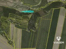 Prodej podílu lesa, Budeč, 2254 m2