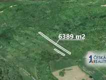 Prodej podílu lesa, Zubrnice, 2835 m2