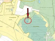 Prodej lesa, Borkovice, 1472 m2