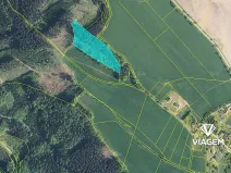 Prodej podílu lesa, Syřenov, 4299 m2