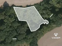 Prodej podílu lesa, Hlinka, 3418 m2