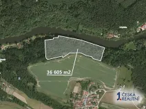 Prodej lesa, Bečice, 36578 m2