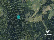 Prodej podílu lesa, Nový Hrozenkov, 879 m2