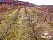 Prodej podílu pole, Roudnice nad Labem, 2009 m2