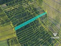 Prodej lesa, Silůvky, 4817 m2