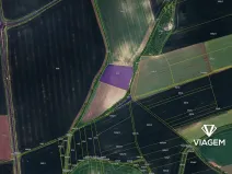 Prodej podílu pole, Bělušice, 1388 m2