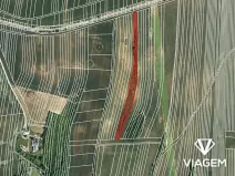 Prodej podílu pole, Ježov, 5011 m2