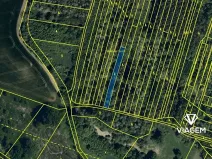 Prodej lesa, Hovorany, 1274 m2