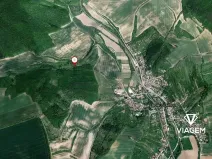 Prodej podílu lesa, Kyjov, 401 m2