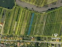 Prodej podílu zahrady, Dubňany, 919 m2