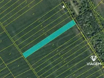 Prodej pole, Žiželice, 2136 m2