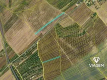 Prodej podílu pole, Kuchařovice, 1272 m2