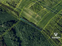 Prodej lesa, Snovídky, 1073 m2