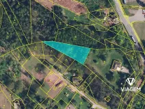 Prodej podílu lesa, Náchod, 776 m2