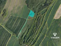 Prodej lesa, Liptaň, 9587 m2